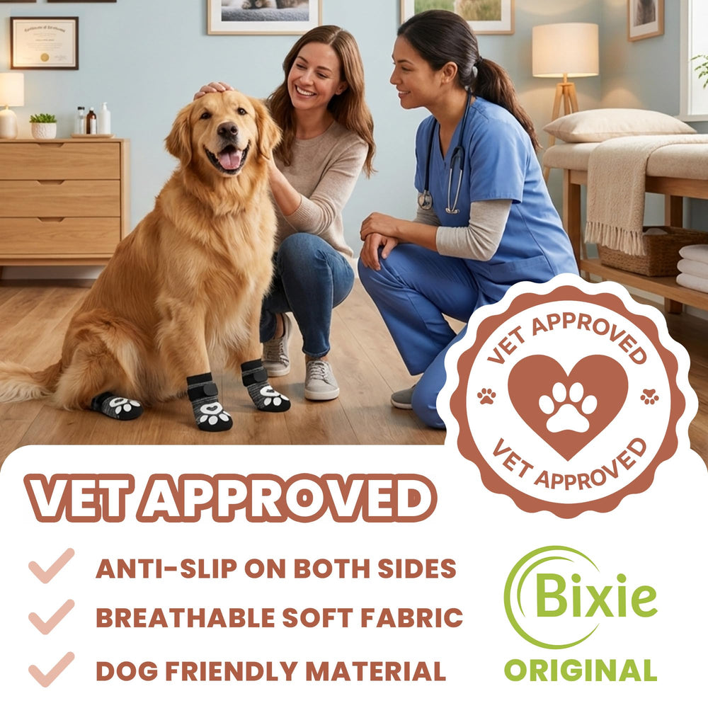 bixie comparaison de taille avec patte et règle, choix précis