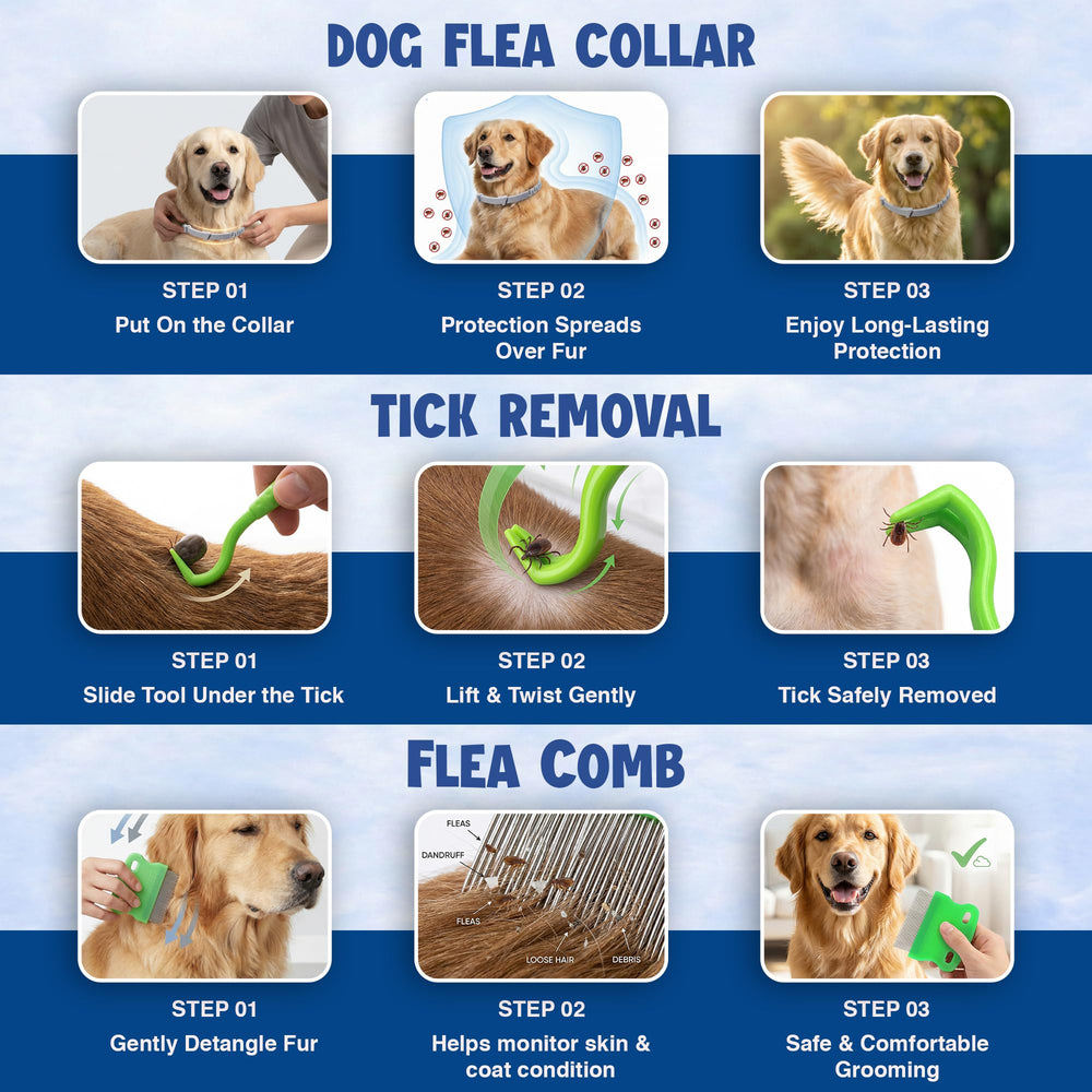 BKRMART collier porté sur chien montrant maintien sûr et usage quotidien