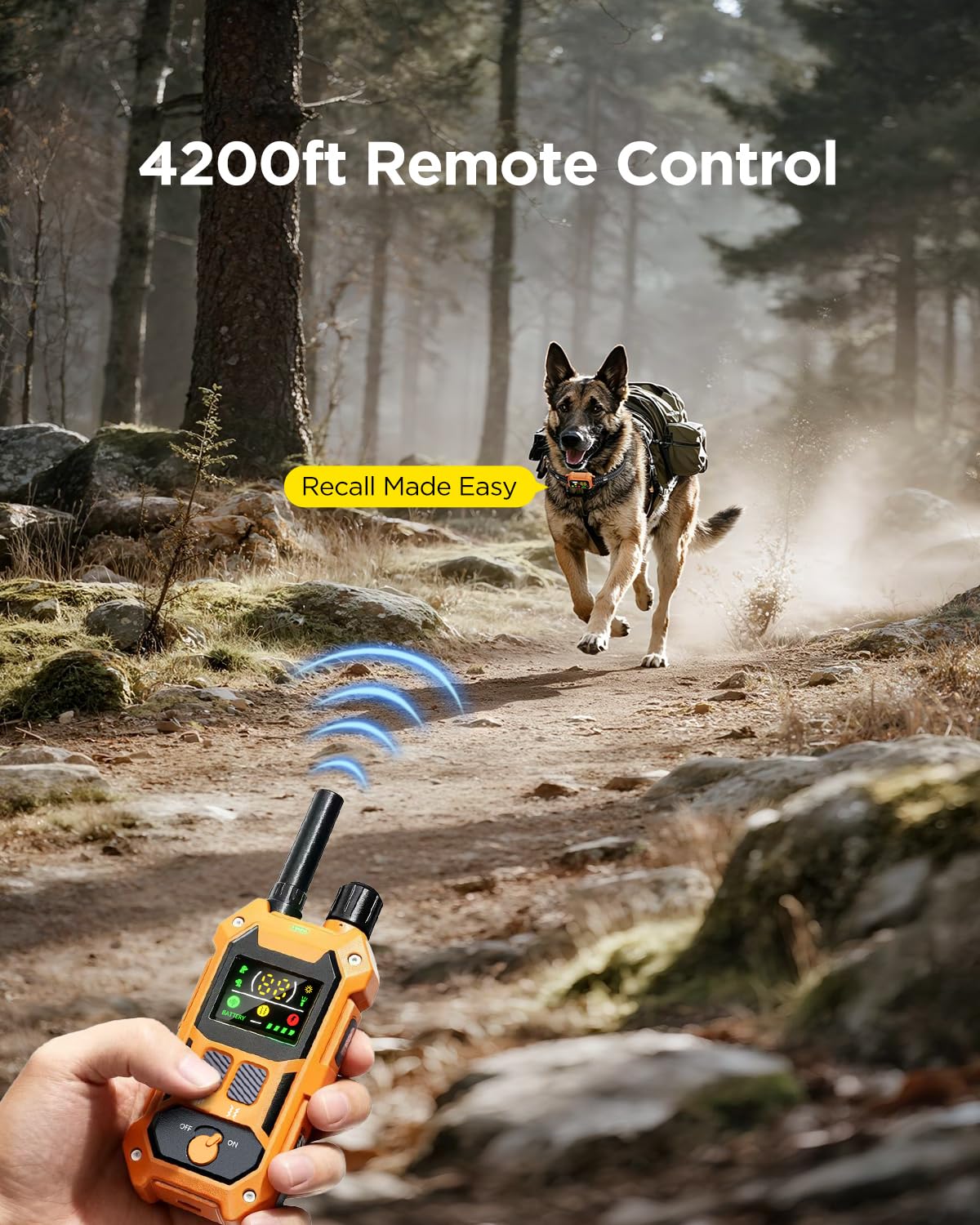 Blackdog collier porté lors d'une randonnée montrant usage en extérieur