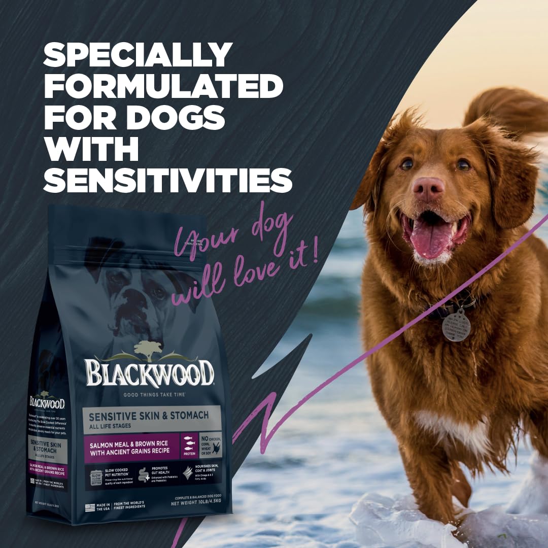 Blackwood bol semi rempli montrant portion recommandée et facilité d'utilisation