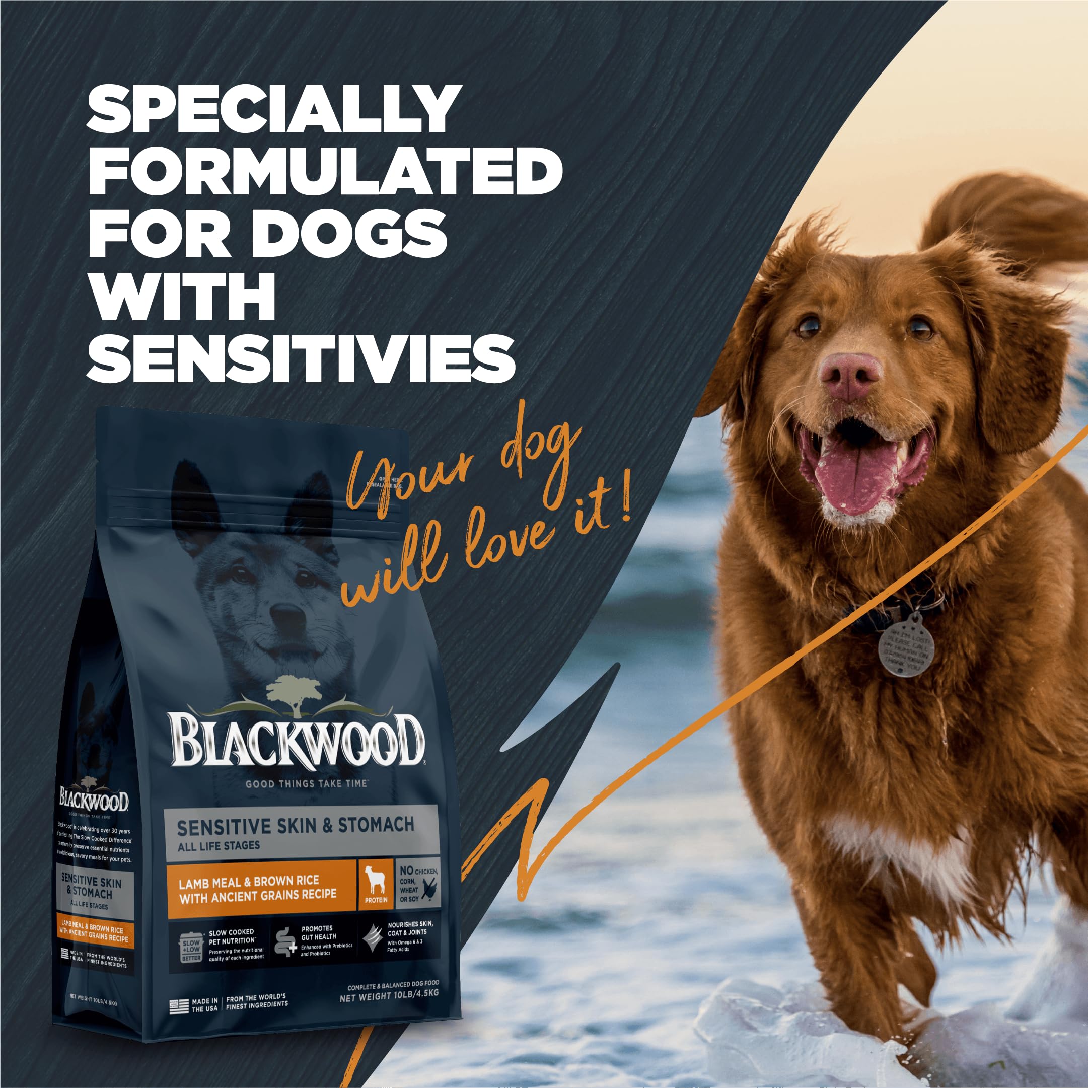 Blackwood chien heureux après repas, peau saine visible