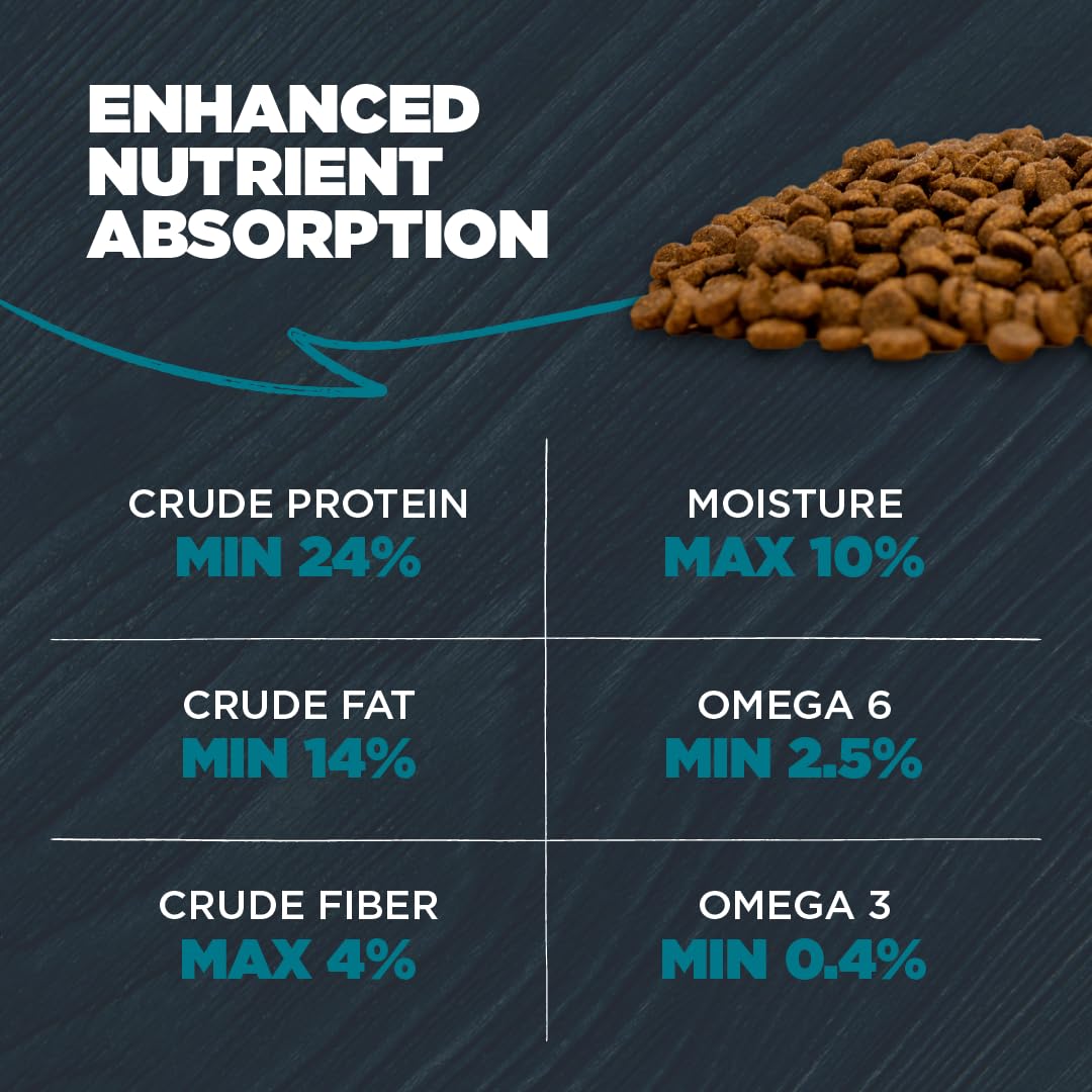 Blackwood comparaison de taille de croquette dans la main pour portionnement
