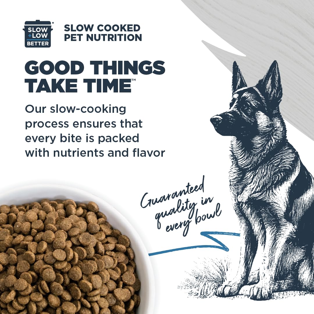 Blackwood croquettes servies dans une gamelle, illustre appétence et digestion facile