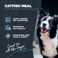 Blackwood gros plan sur croquettes montrant texture et appétence pour chiens
