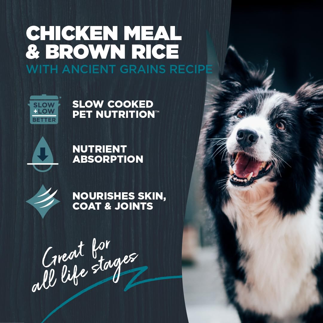 Blackwood gros plan des croquettes montrant texture et appétence accrue