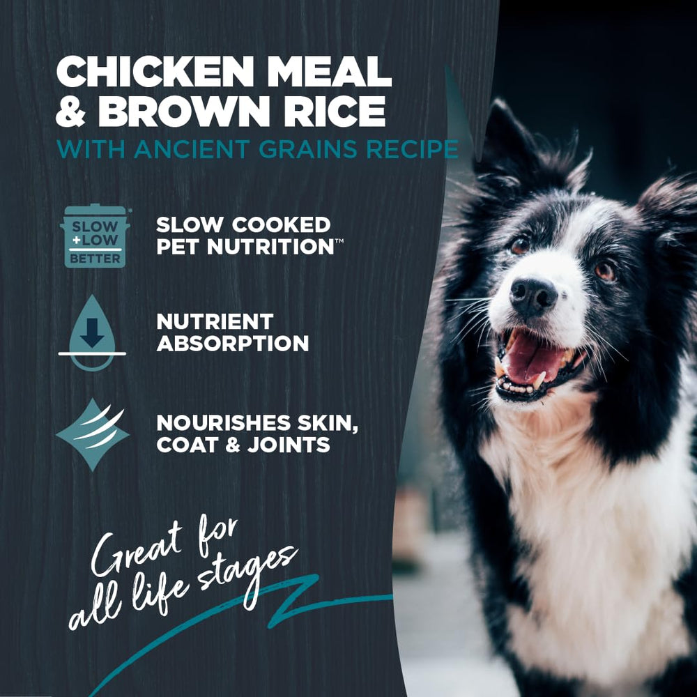 Blackwood gros plan des croquettes montrant texture et appétence accrue