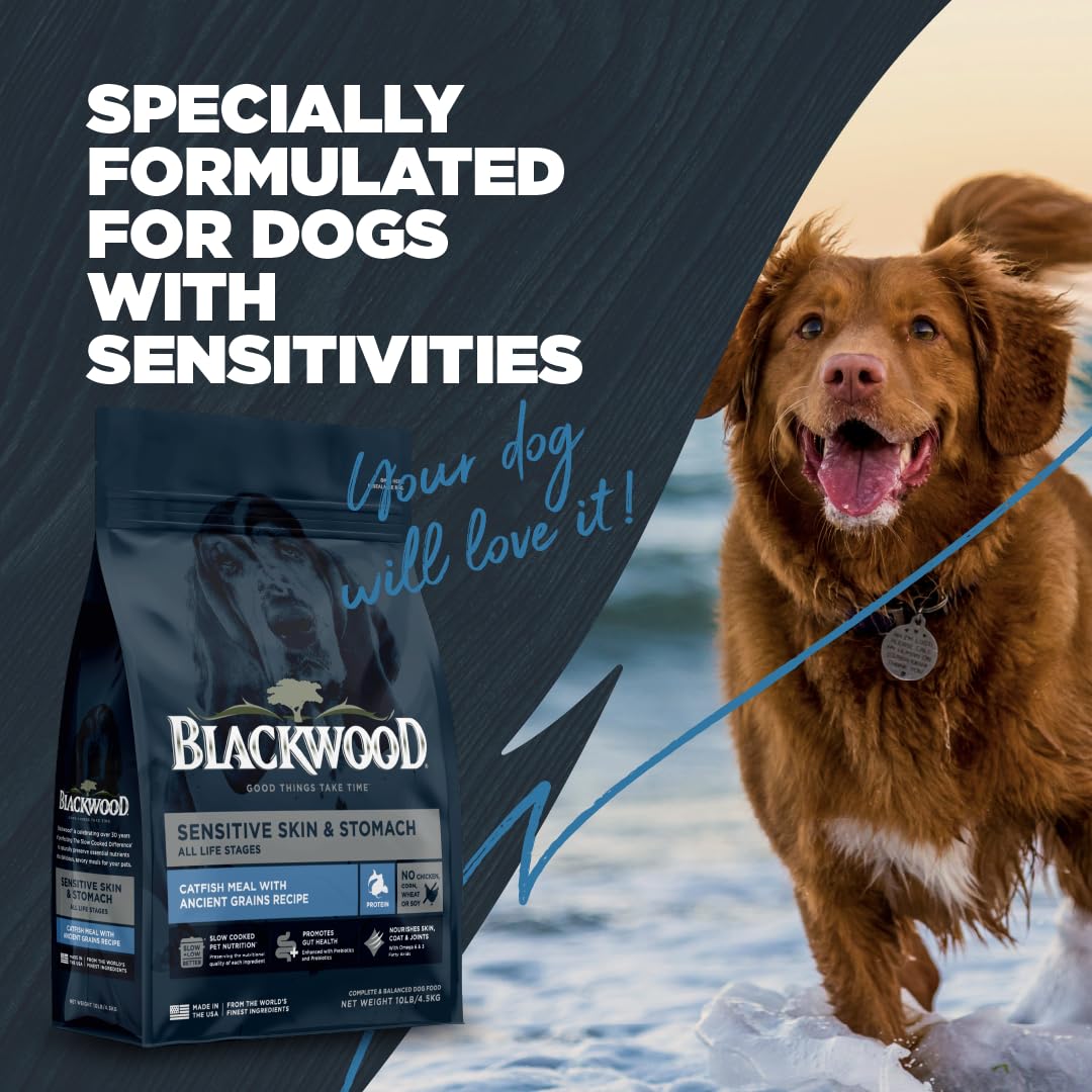 Blackwood ingrédients: farine de poisson-chat et riz brun, favorise digestion douce