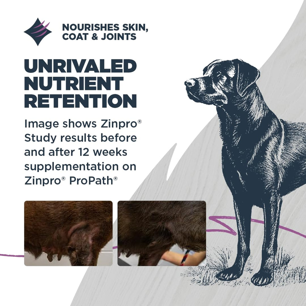 Blackwood étiquette Zinpro ProPath affichant minéraux pour peau et poil
