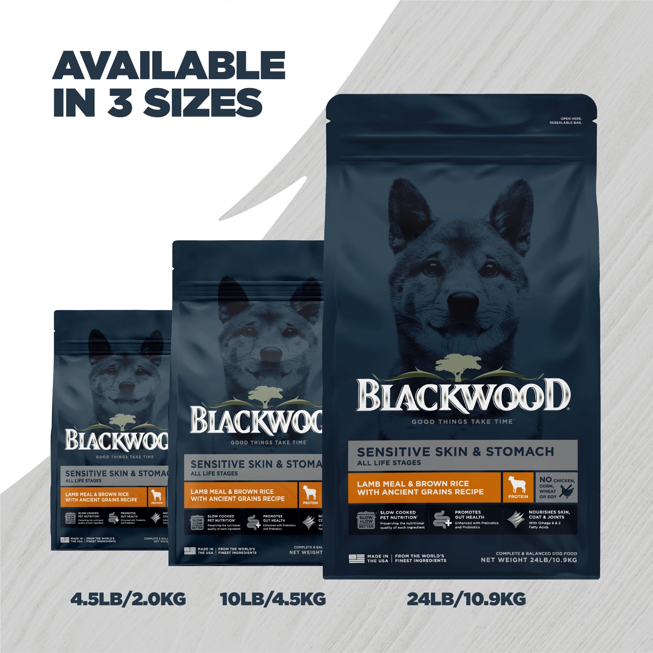 Scène de repas Blackwood lifestyle montrant chien actif et pelage brillant après alimentation