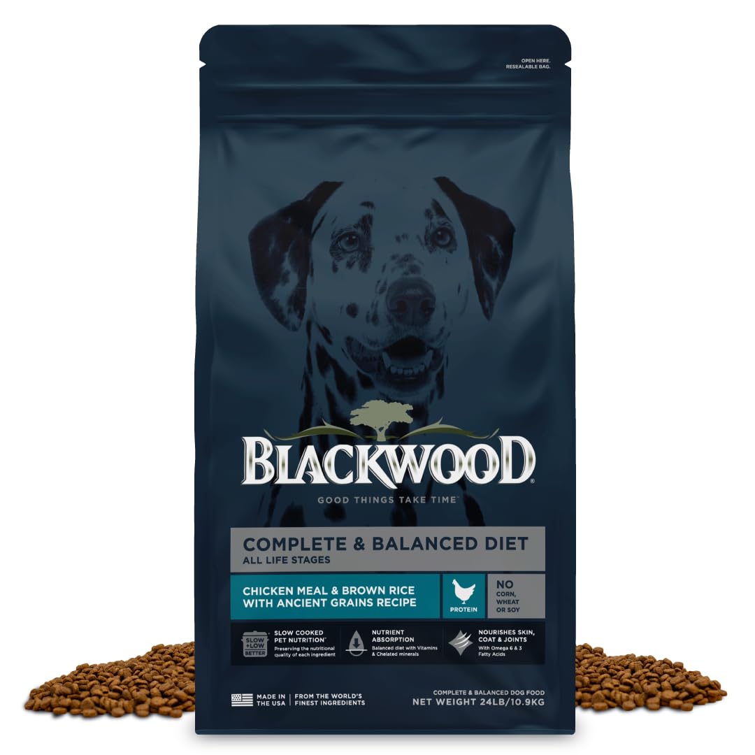 Blackwood sachet avant montrant l'emballage et avantage nutritionnel