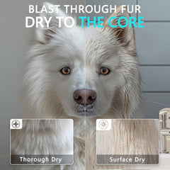 Blanlody quatre embouts et brosse incluses pour séchage sur mesure