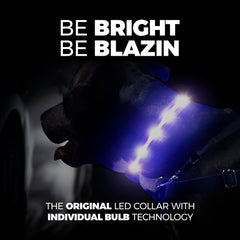 Blazin gros plan des ampoules LED individuelles pour sécurité