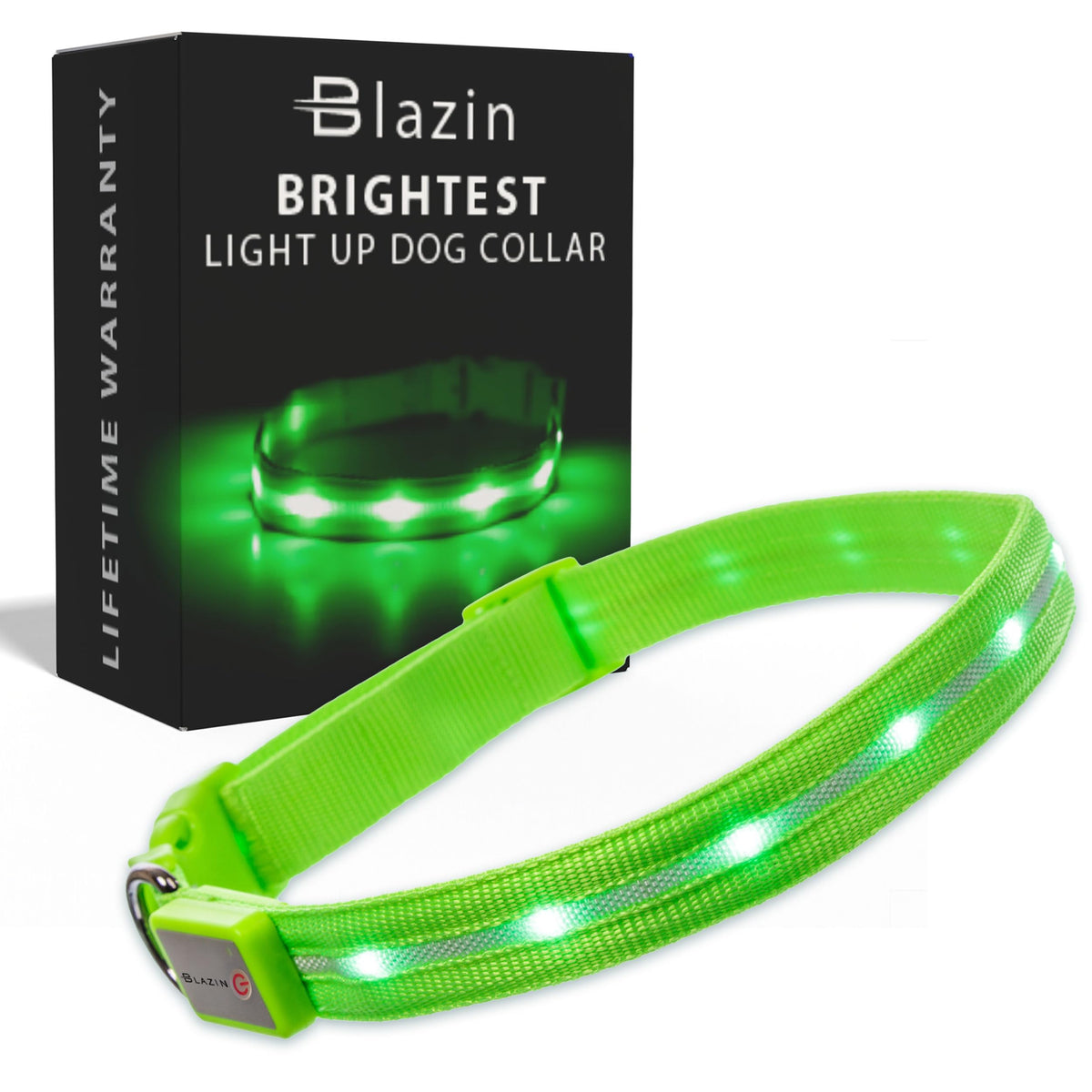 Blazin collier lumineux face avant montrant visibilité accrue