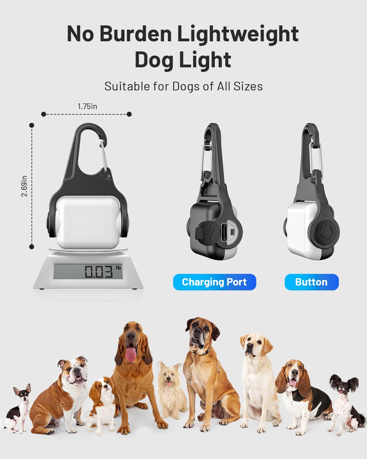 BLBS comparaison taille sur collier, légère et confortable pour chien