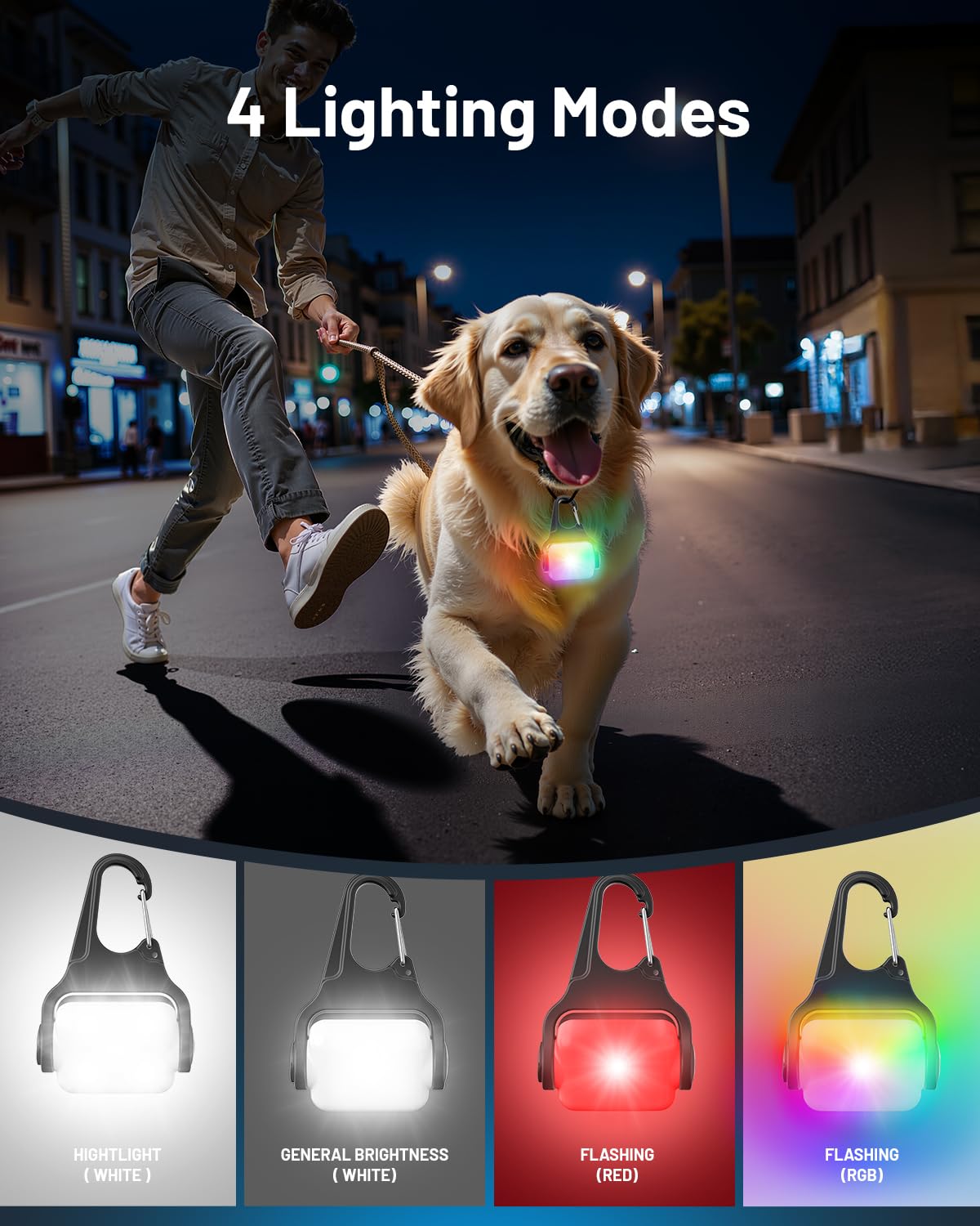 BLBS gros plan LED, lumière intense pour repérer le chien