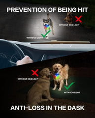 BLBS lampe en action lors d'une promenade nocturne, sécurité renforcée