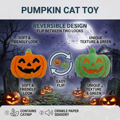Blettous comparaison de taille montrant jouets adaptés chaton et adulte