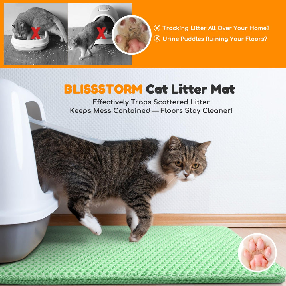 blissstorm comparaison taille du tapis avec objets pour visualiser échelle