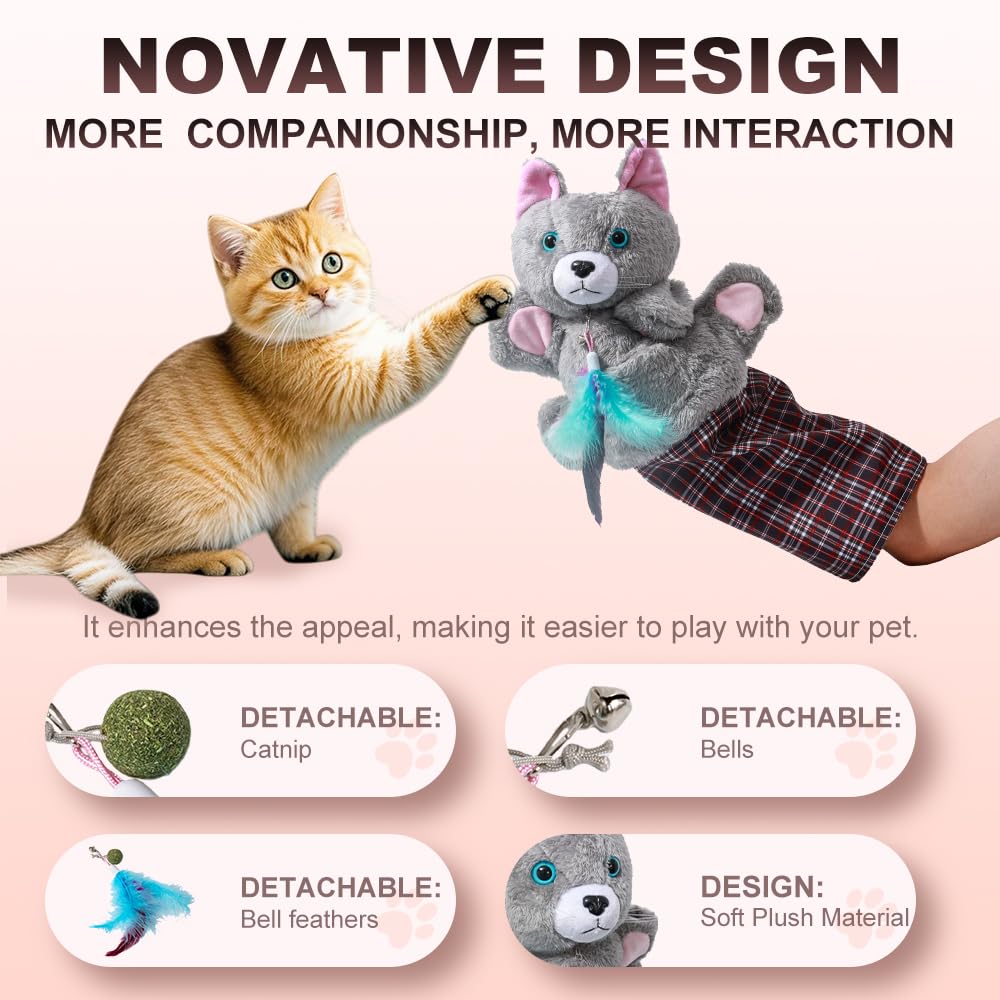 BlivEclat motifs boxe et graphismes ludiques stimulent curiosité du chat
