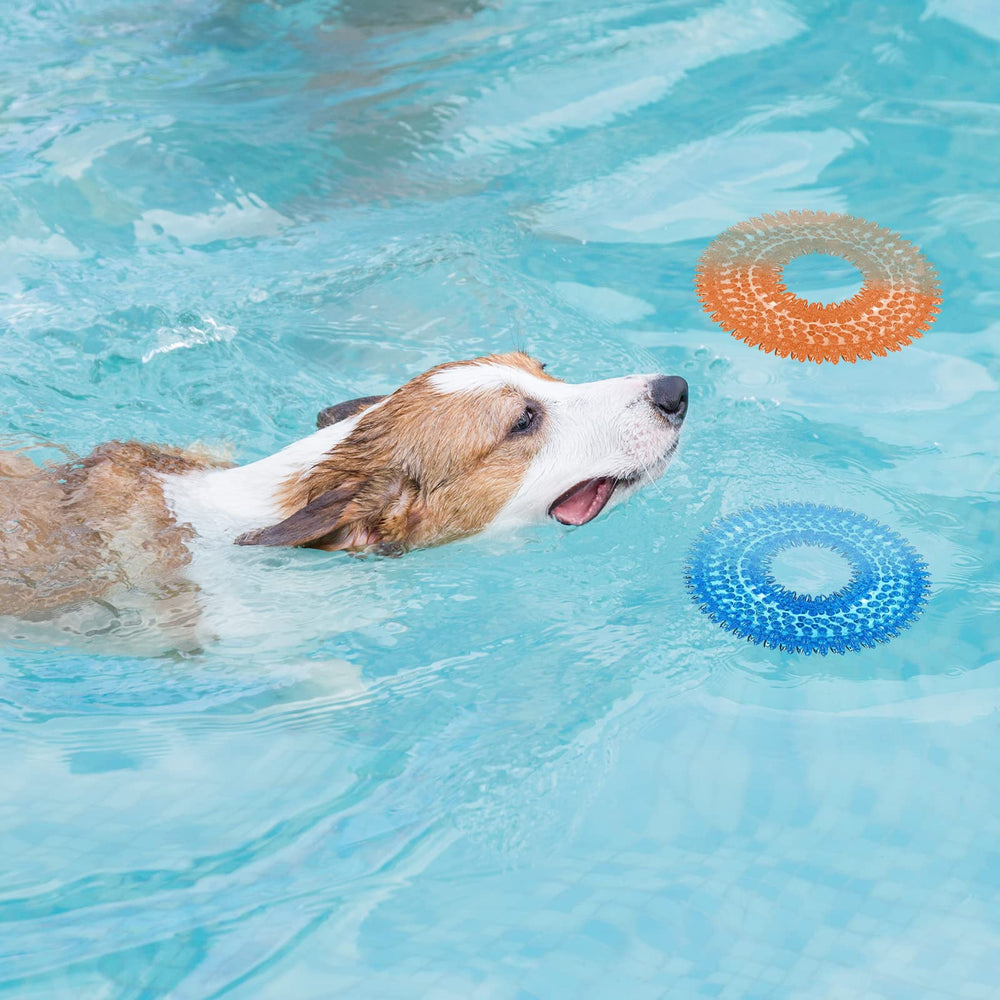 BLMHTWO comparaison d'échelle montrant taille adaptée aux chiens jusqu'à 20 kg