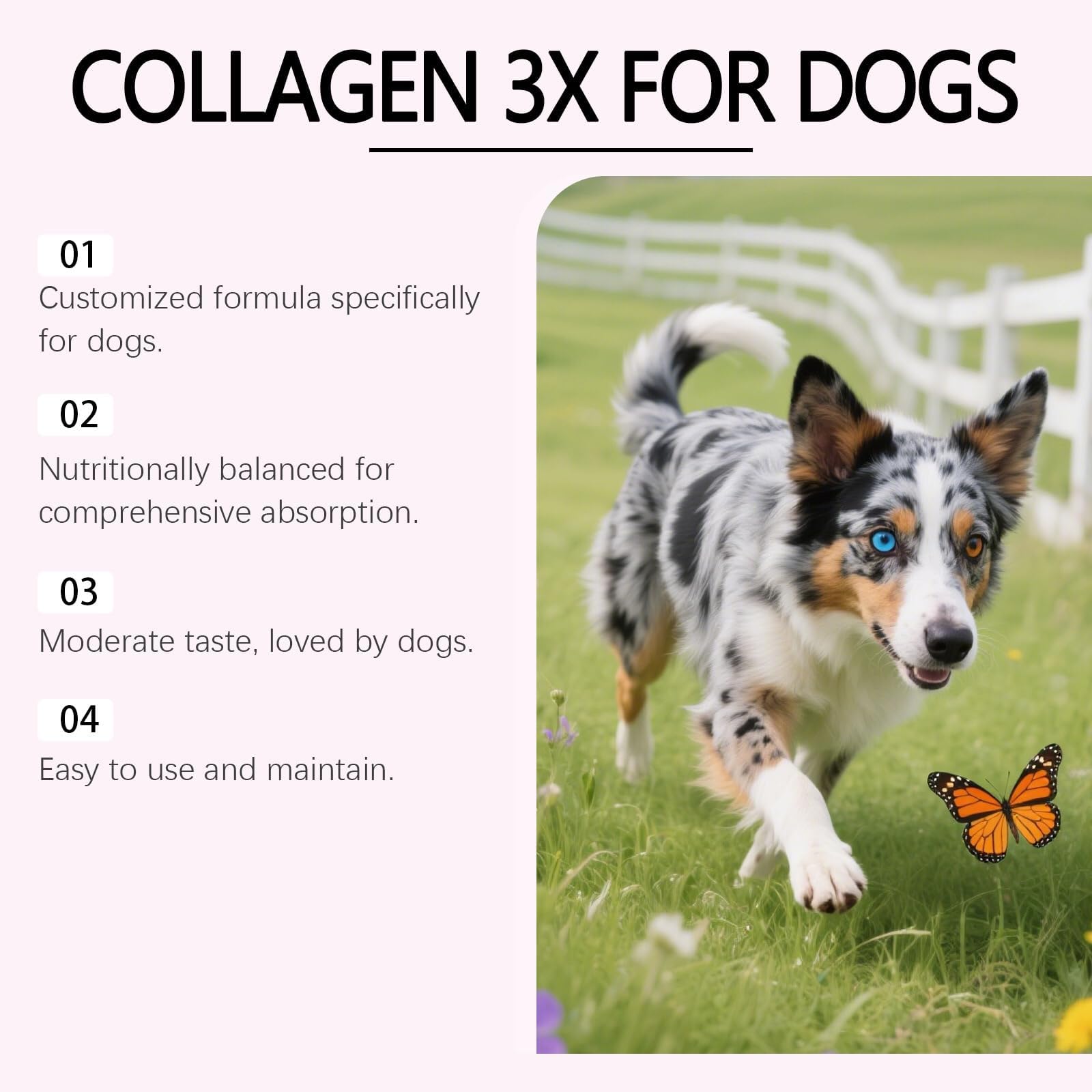Bloom Dog Collagen flacon posé près d’une règle pour visualiser le format 60 ml