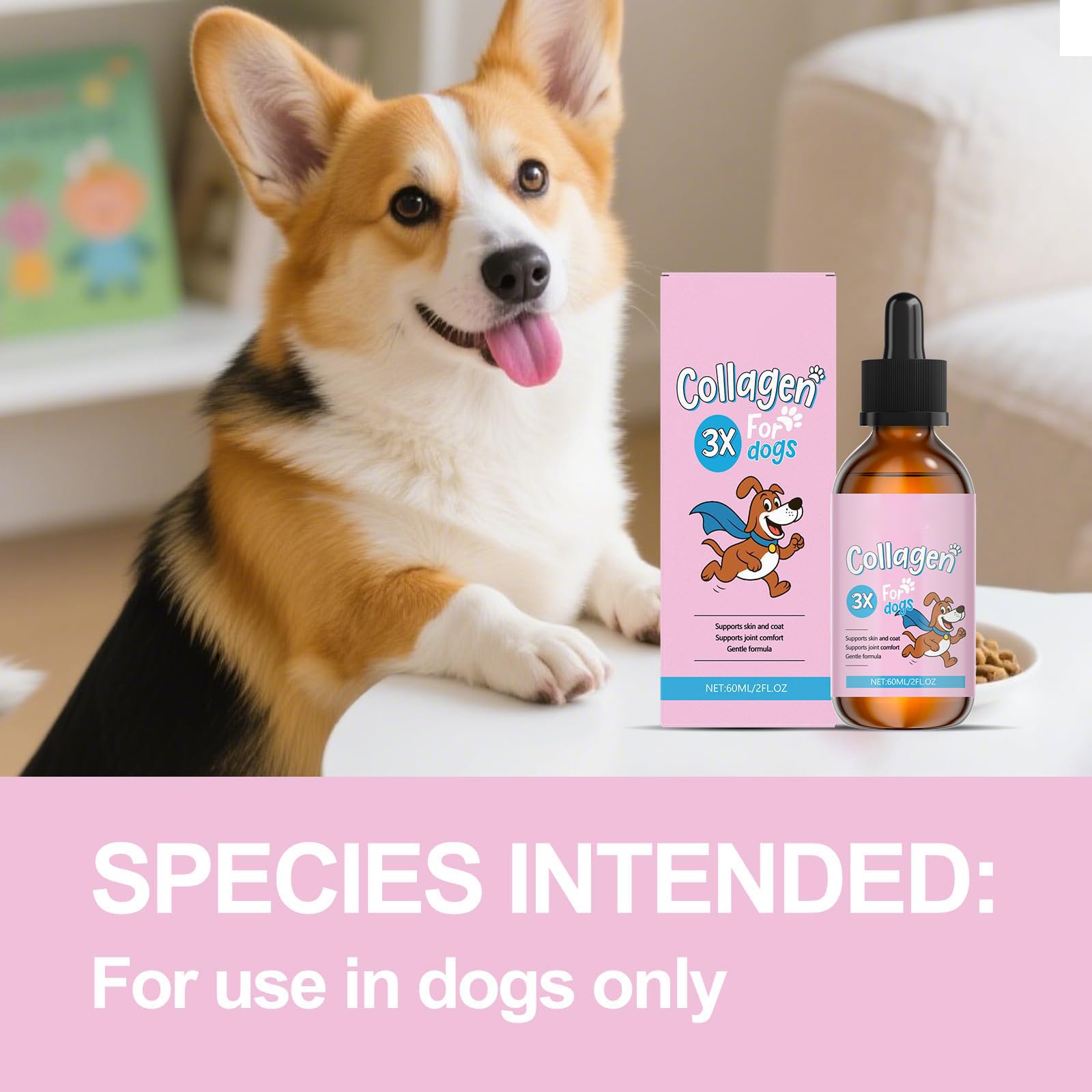 Bloom Dog Collagen compte-gouttes en gros plan pour dosage précis et pratique