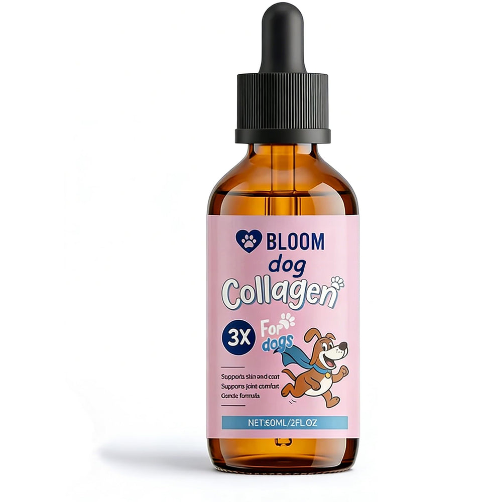 Bloom Dog Collagen flacon avant montrant le design et facilité d'utilisation