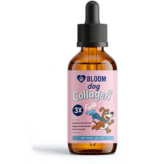 Bloom Dog Collagen flacon avant montrant le design et facilité d'utilisation