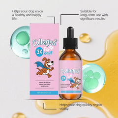 Bloom Dog Collagen appliqué sur nourriture pour une administration simple et acceptée