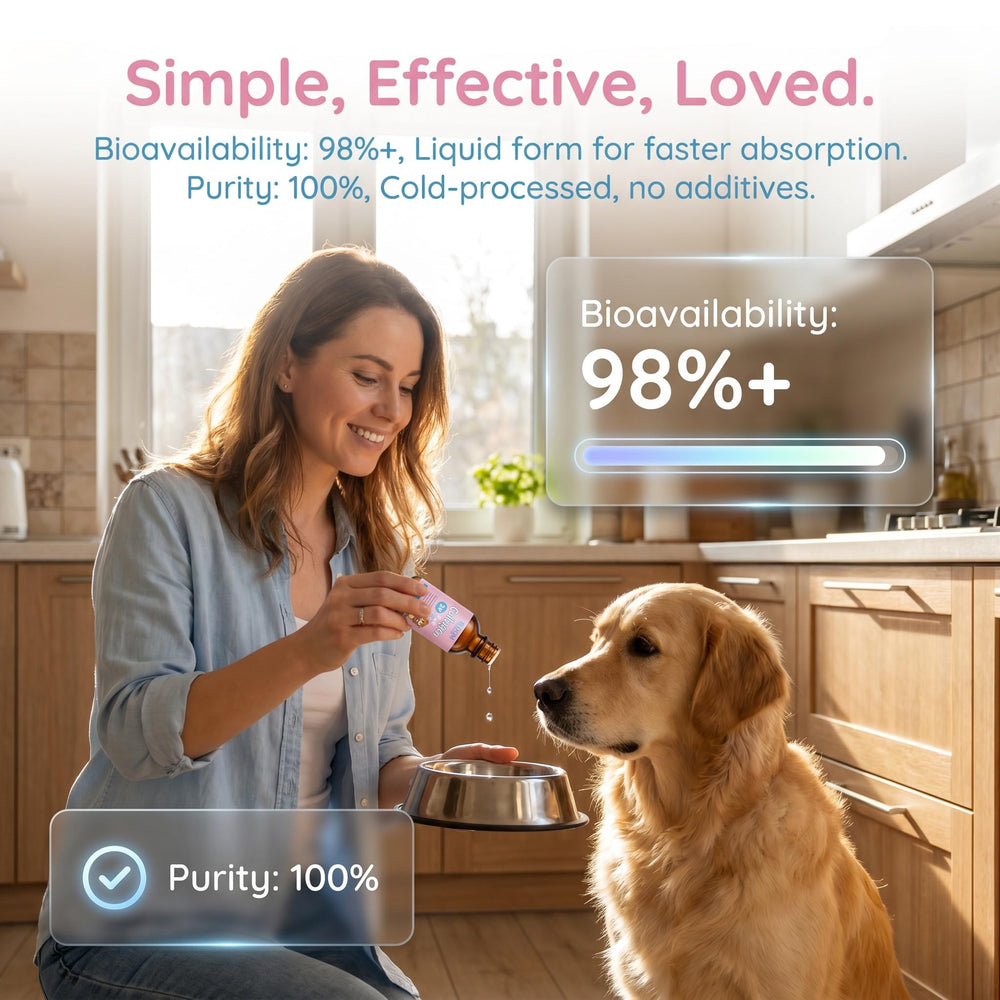 BLOOM TRIPLE chien consommant nourriture mettant en valeur confort d'utilisation
