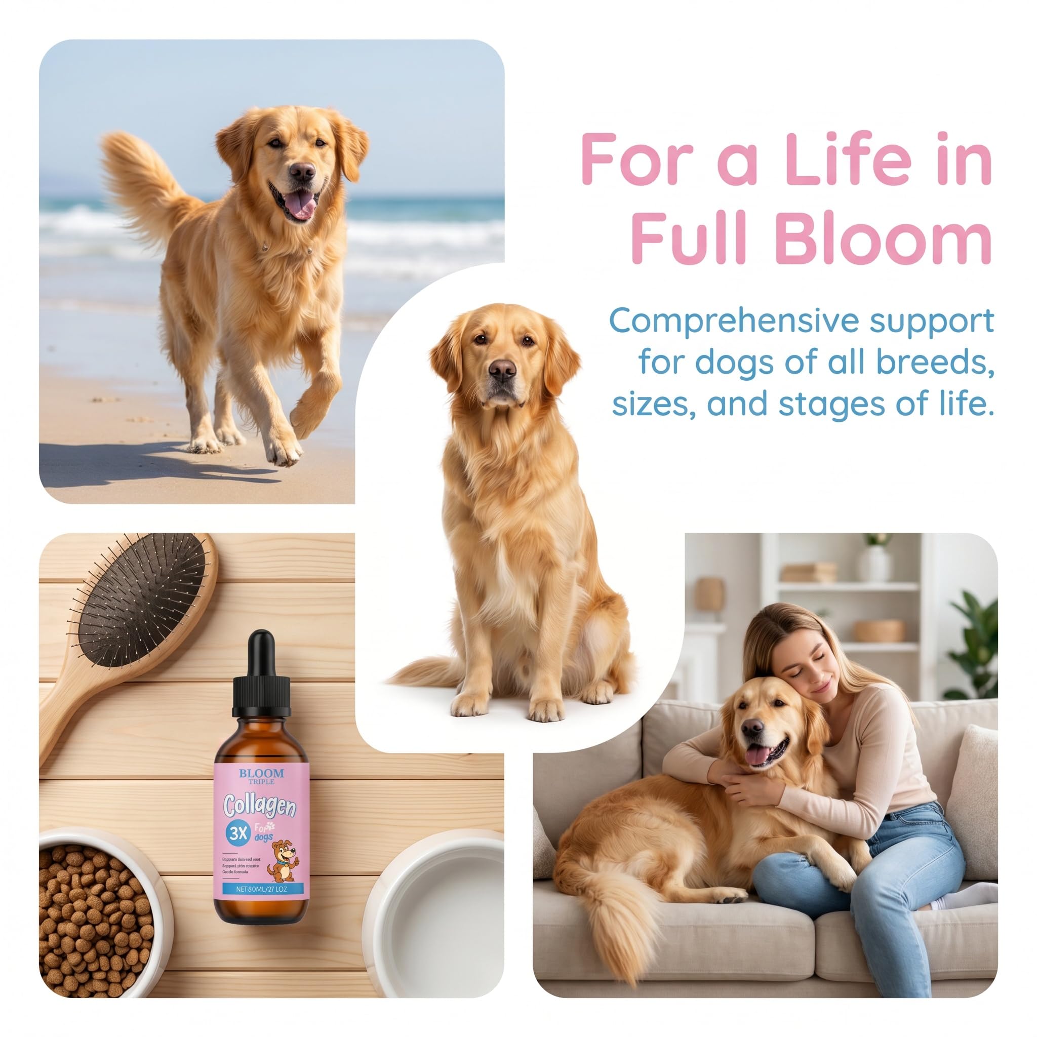 BLOOM TRIPLE emballage arrière avec informations de dosage visibles