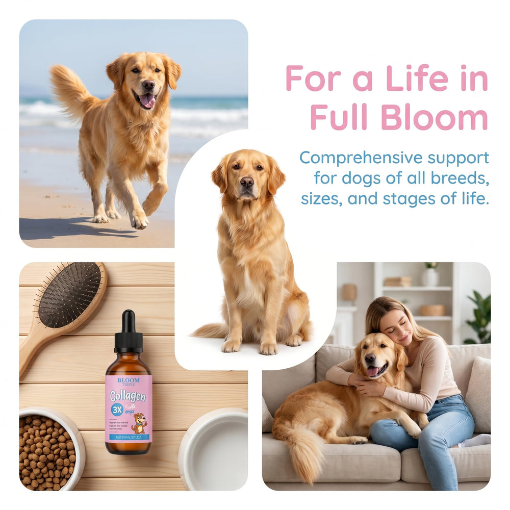 BLOOM TRIPLE emballage arrière avec informations de dosage visibles