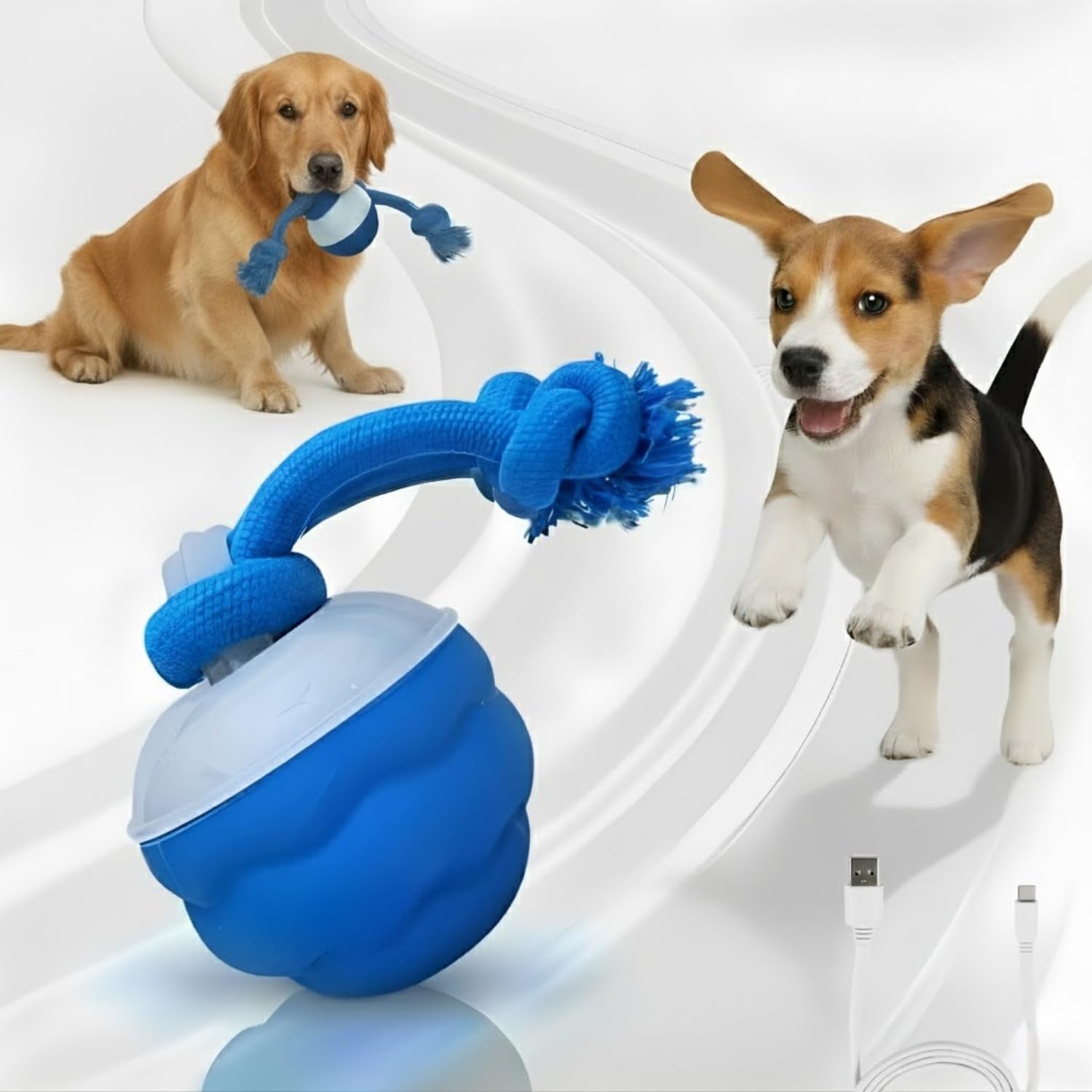 Bloompaw emballage face montrant le produit et bénéfice de durabilité