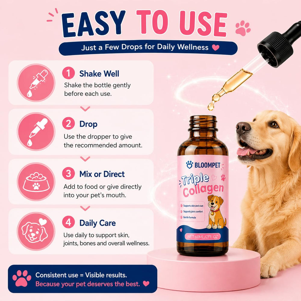 bloompet chien au foyer pelage brillant montrant bénéfice esthétique