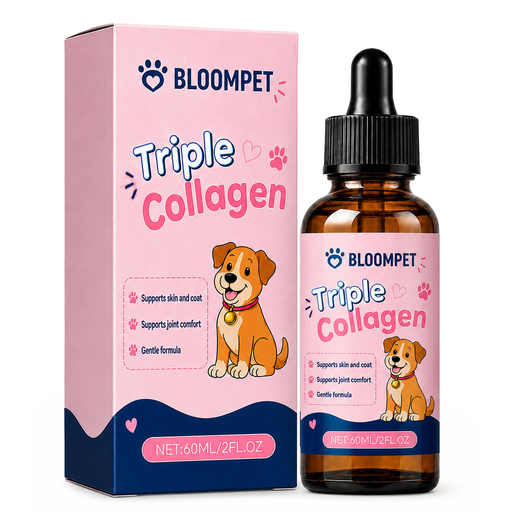 bloompet flacon face montrant format pratique et administration facile