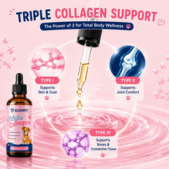 bloompet pompe doseuse gros plan pour dosage précis et sans désordre