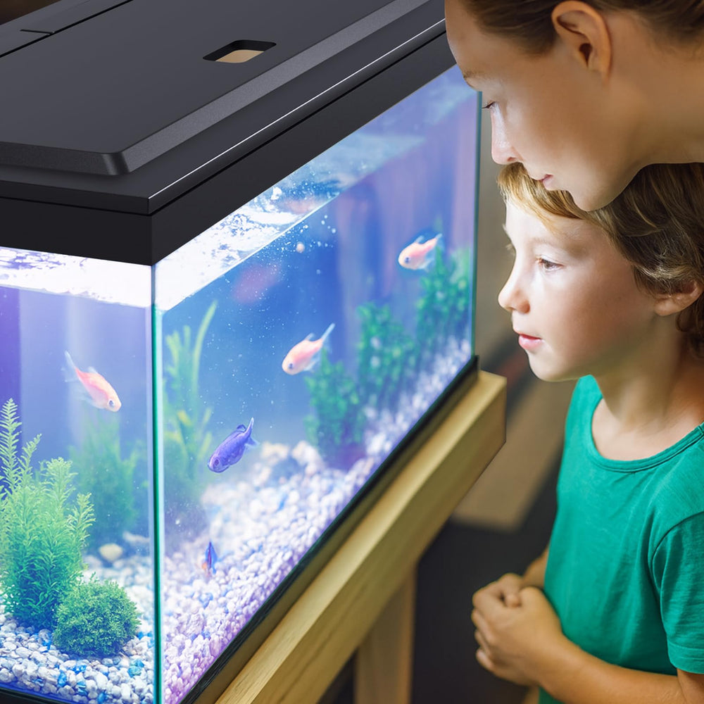 Blosail capot posé sur aquarium 24 pouces pour comparaison d'échelle