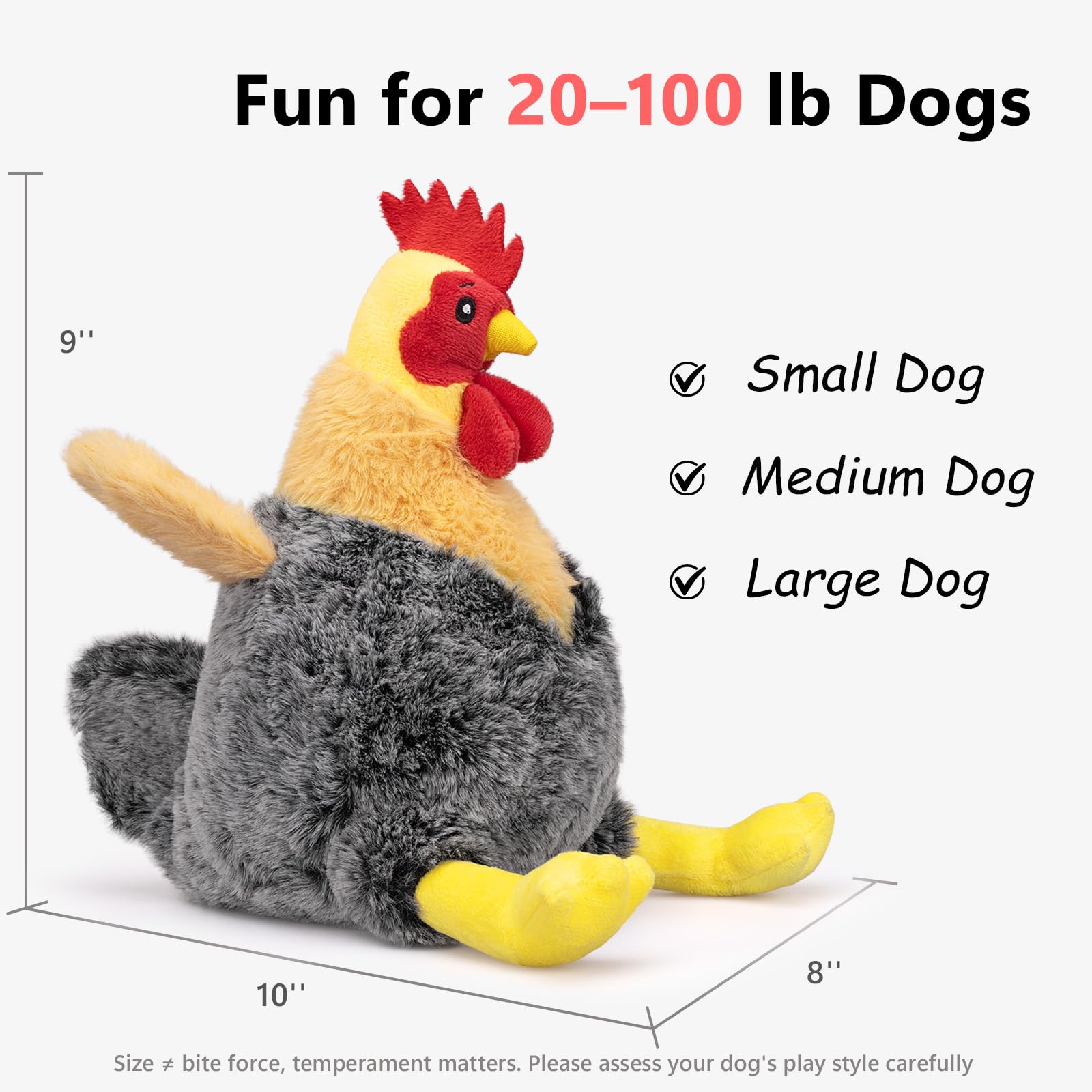 BluBrk poule chien en jeu, engagement actif et exercice