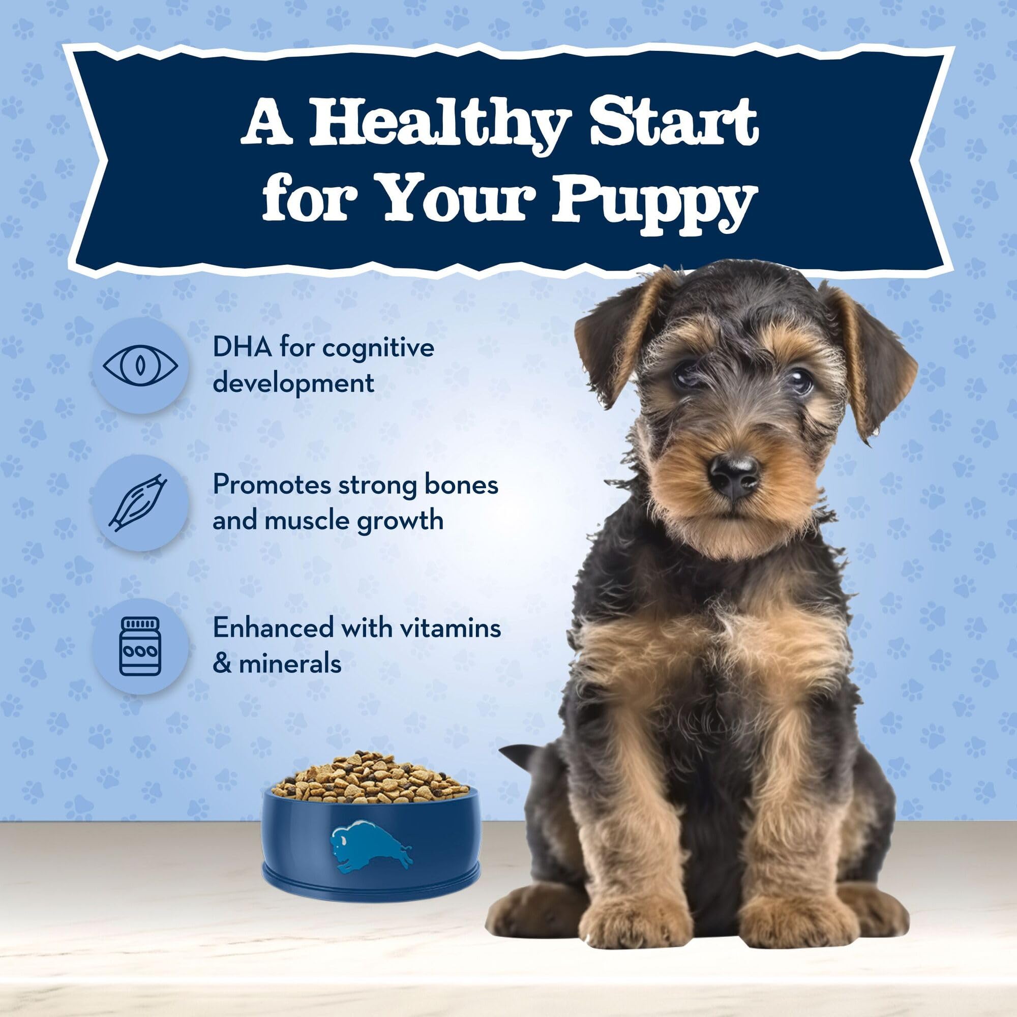 Blue Buffalo chiot mangeant Baby BLUE montrant digestion facile