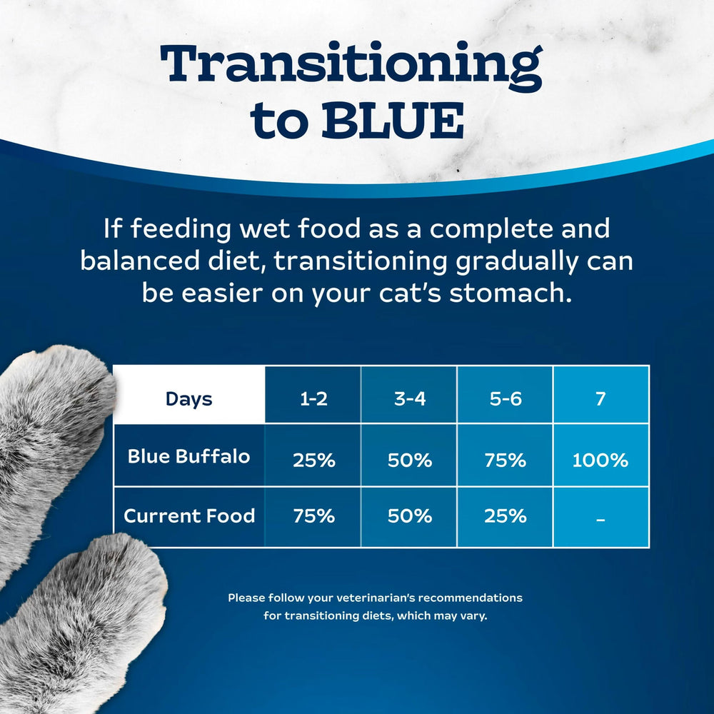 Blue Buffalo chat mange en cuisine montrant acceptation par l’animal