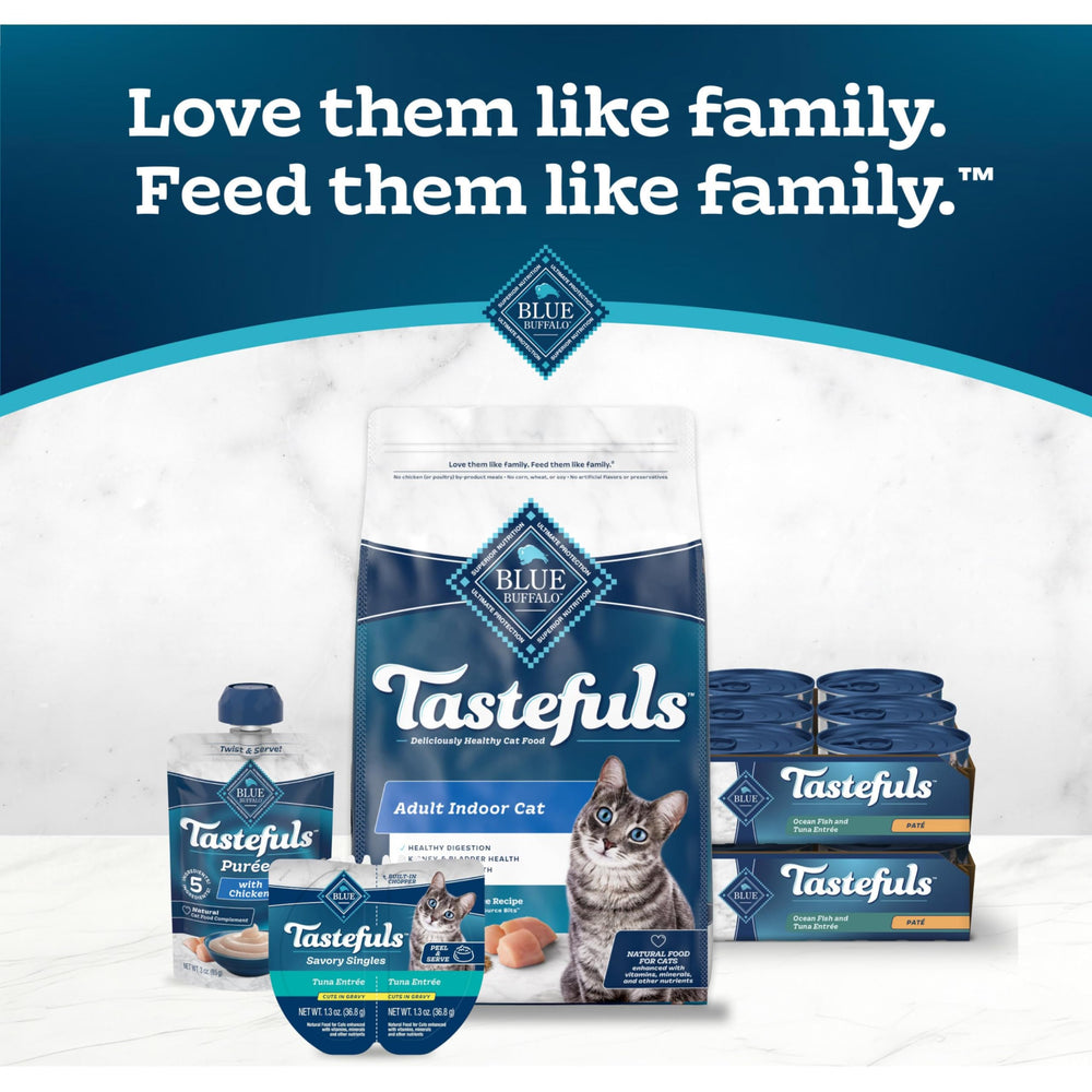Blue Buffalo chat qui mange content en situation réelle illustrant satisfaction du chat
