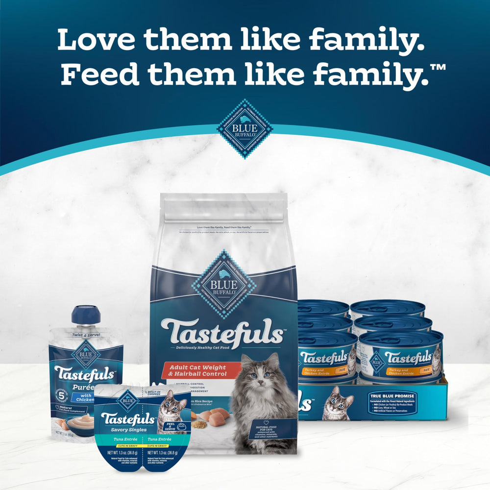 Blue Buffalo chat senior en train de manger montrant appétence et confort digestif