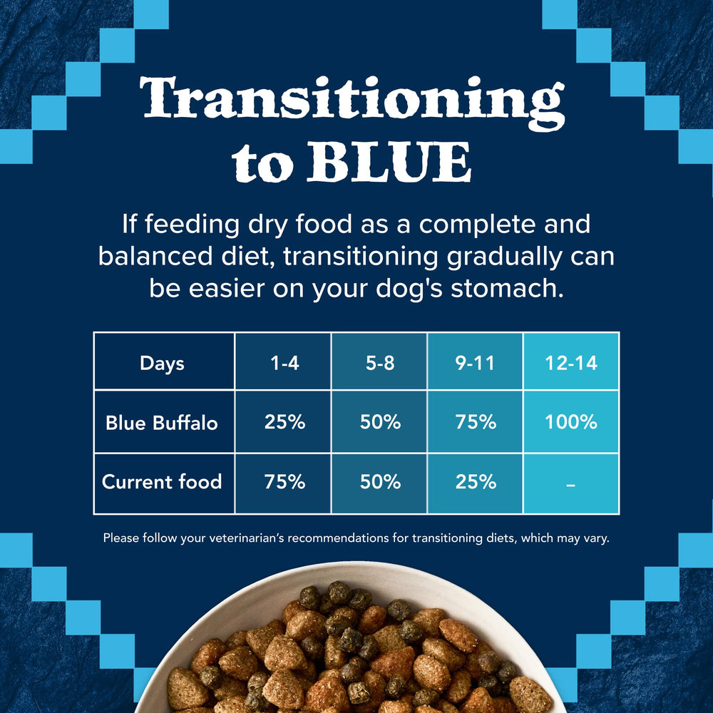 Blue Buffalo chien senior actif en balade pour soutien d’énergie durable