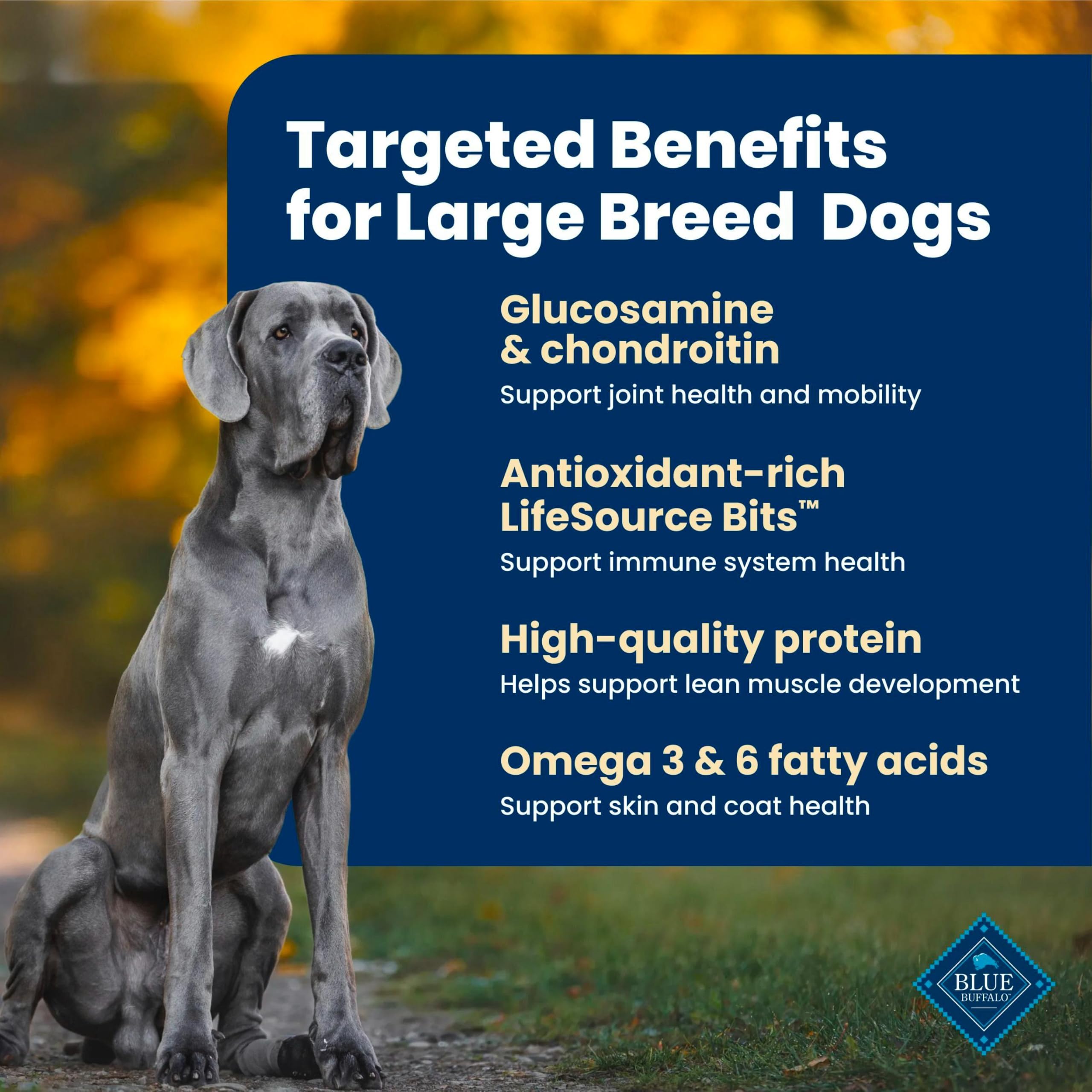 Blue Buffalo grand chien mangeant pour démontrer énergie et vitalité
