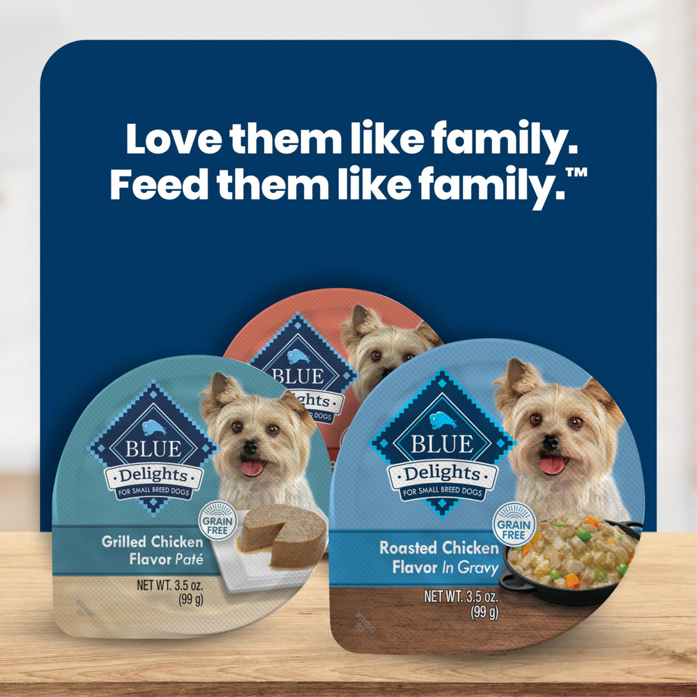 Blue Buffalo petit chien dégustant la pâtée, améliorant l’appétit quotidien