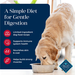 Blue Buffalo chien adulte mangeant, favorise confort intestinal