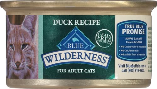 Blue Buffalo pâté servie à côté d'aliments secs pour comparaison nutritionnelle