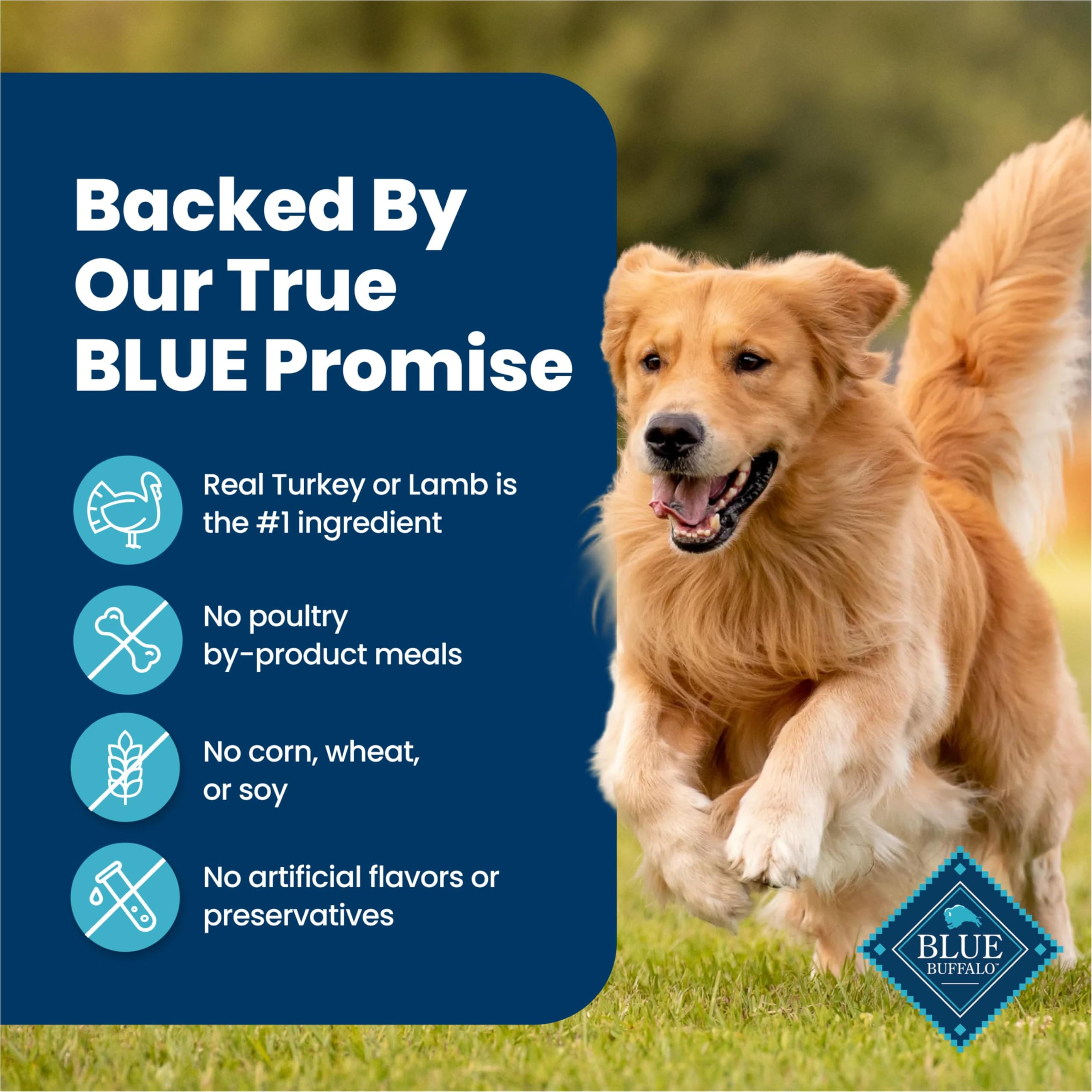 Blue Buffalo portionnage pour chien aidant au contrôle des rations