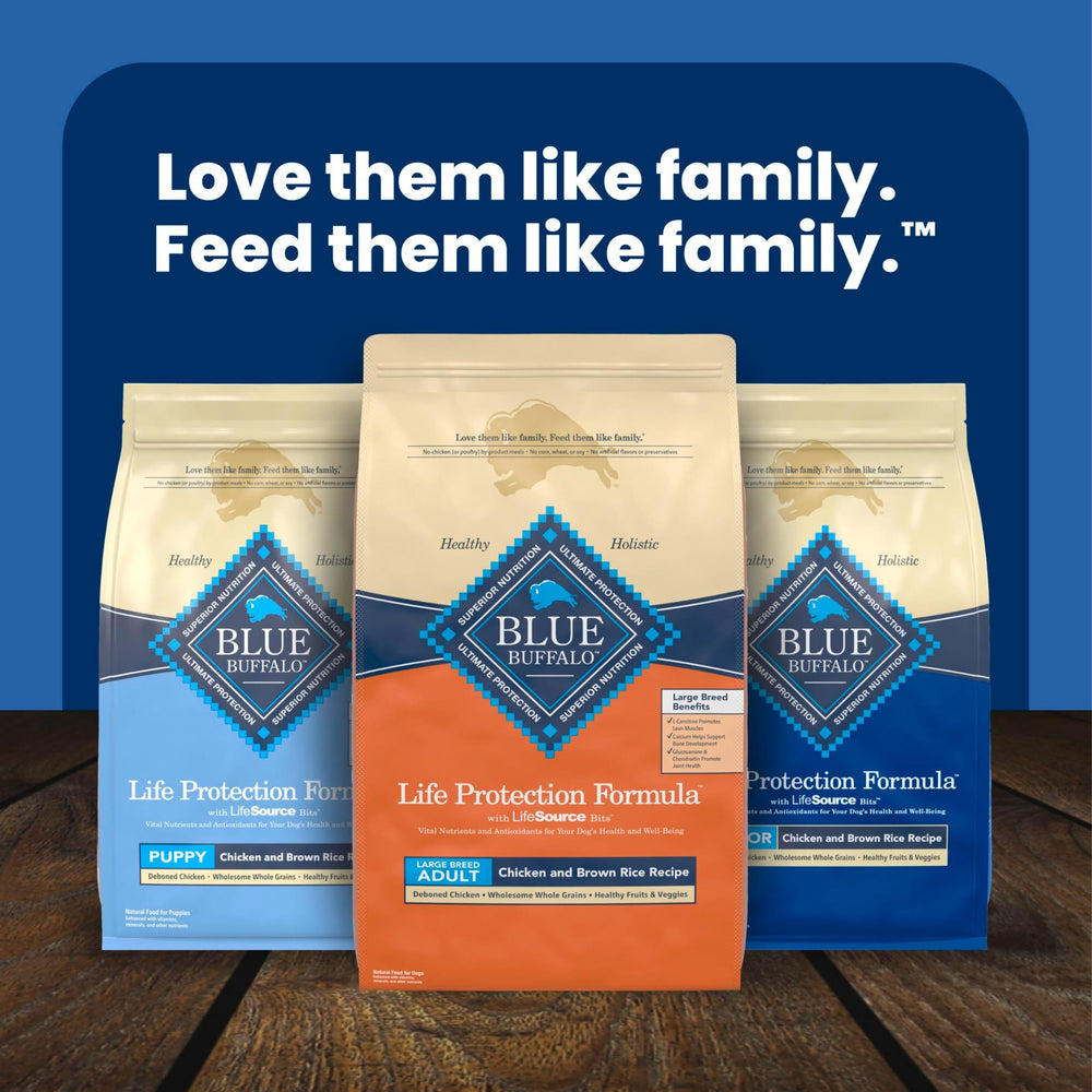 Cuisine familiale avec Blue Buffalo montrant intégration au quotidien