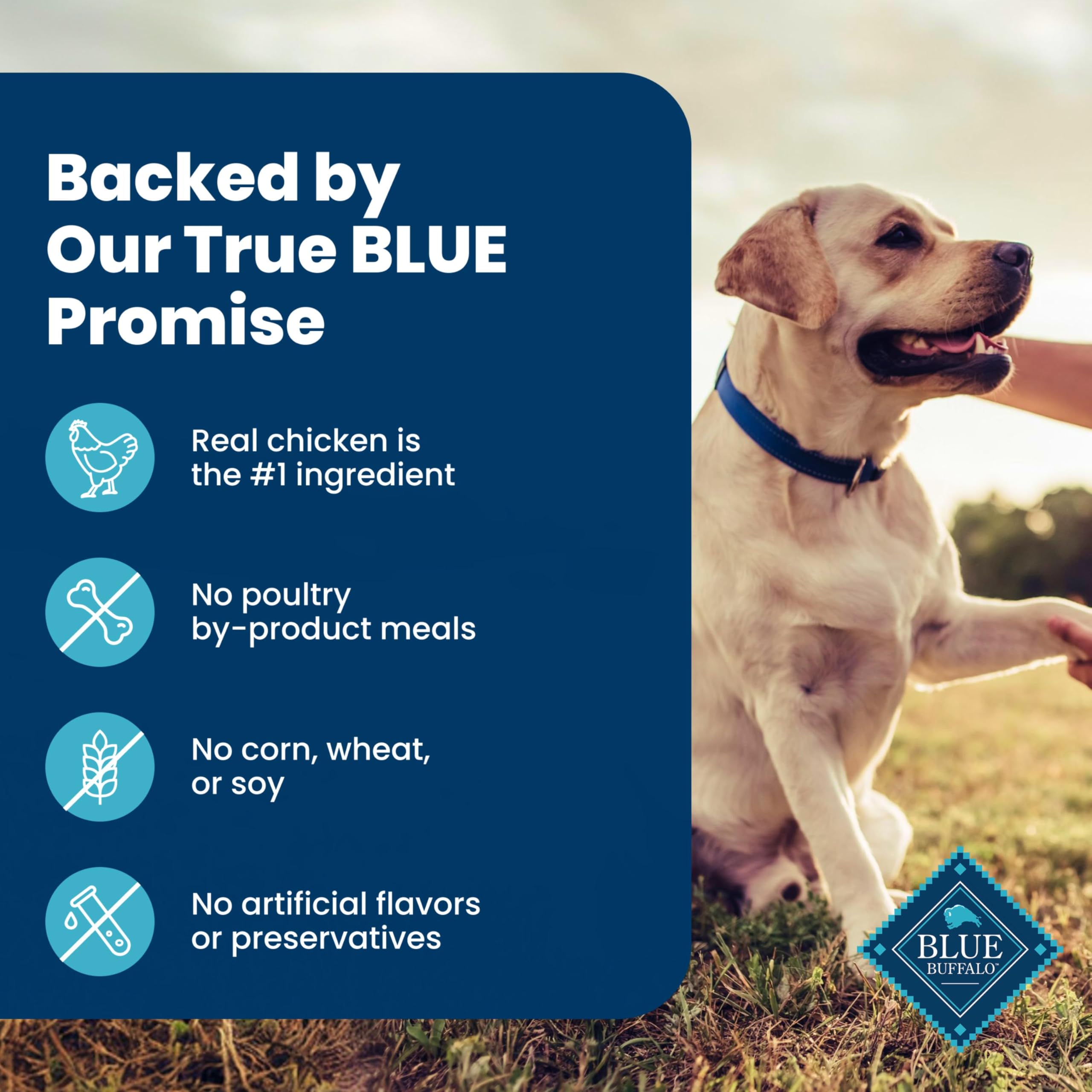 Étiquette Blue Buffalo détaillant nutriments et promesse sans sous-produits